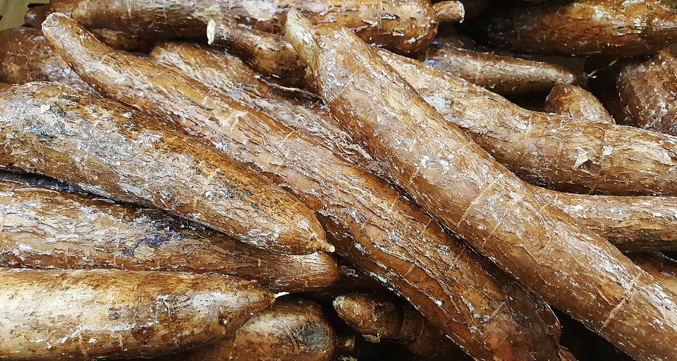 Nigerian Food Derived From Cassava