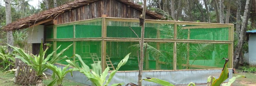 Low Cost Poultry House for Rural Farmers