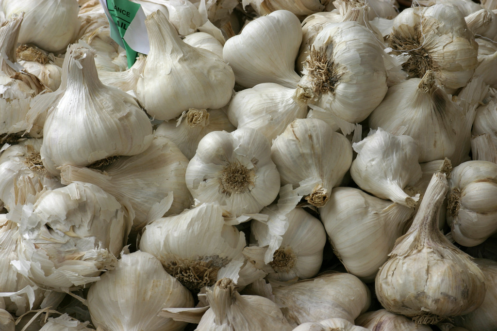 Fresh Garlic Export From Nigeria