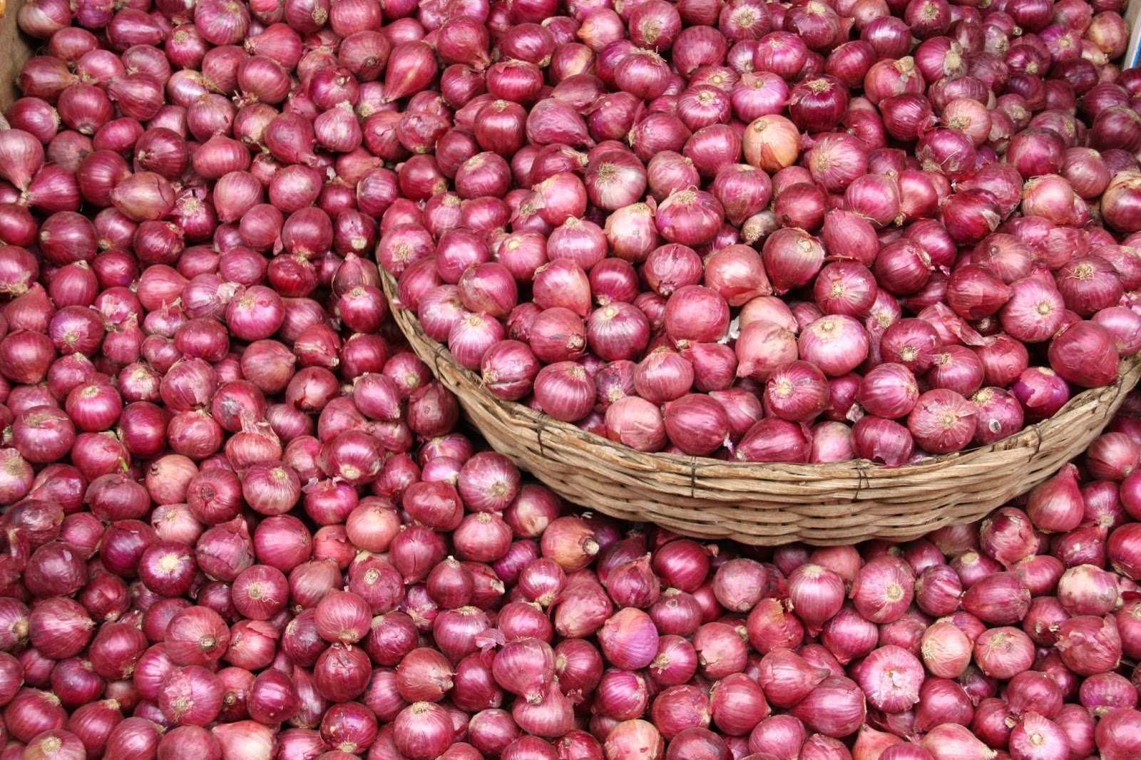 rise in onion prices.