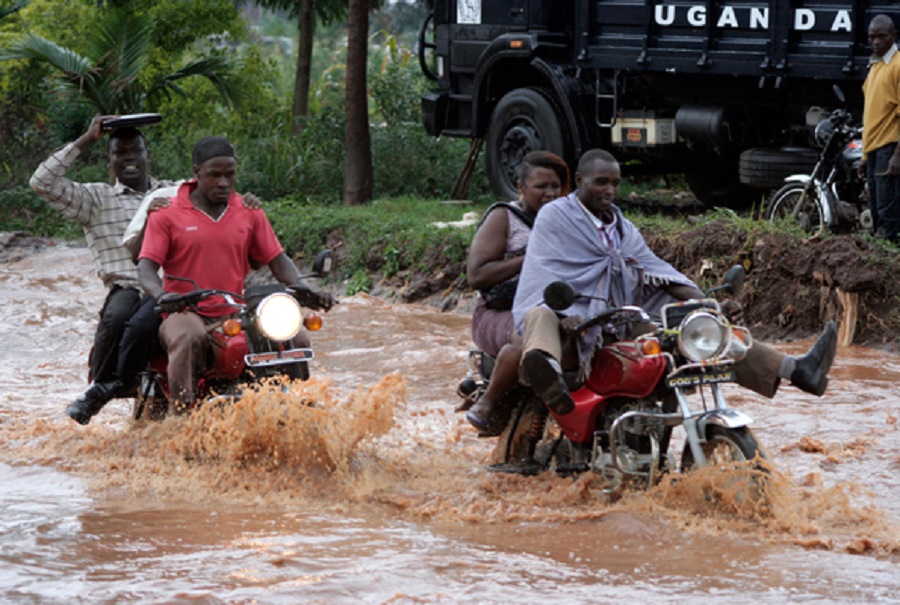 See how rugged the business of Motorcycle has become over time