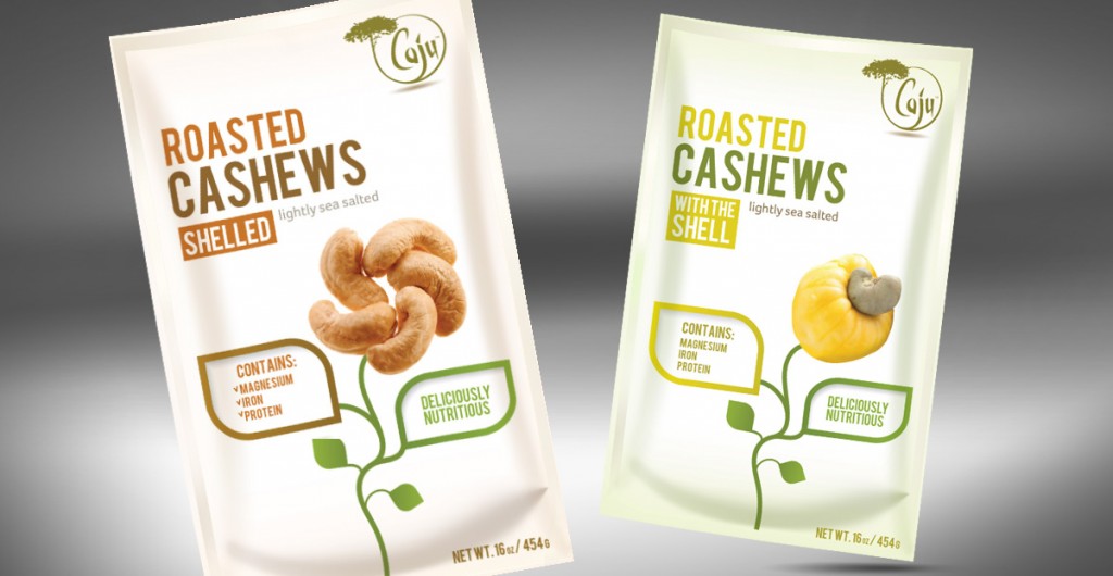 How to start Cashew Nut business in Nigeria