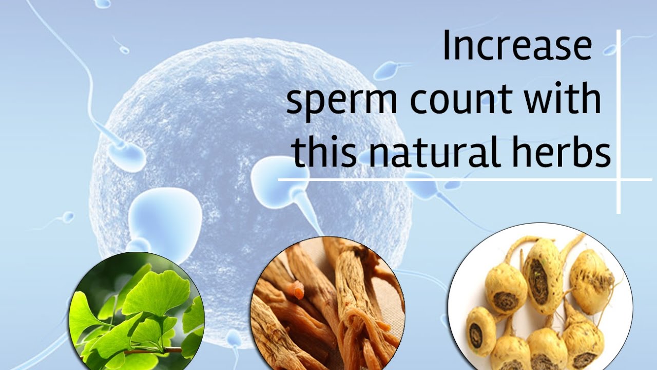Herbal Treatment for Low Sperm Count