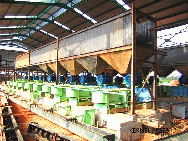 RE: How Much is the Machine for Making Palm Kernel Oil?