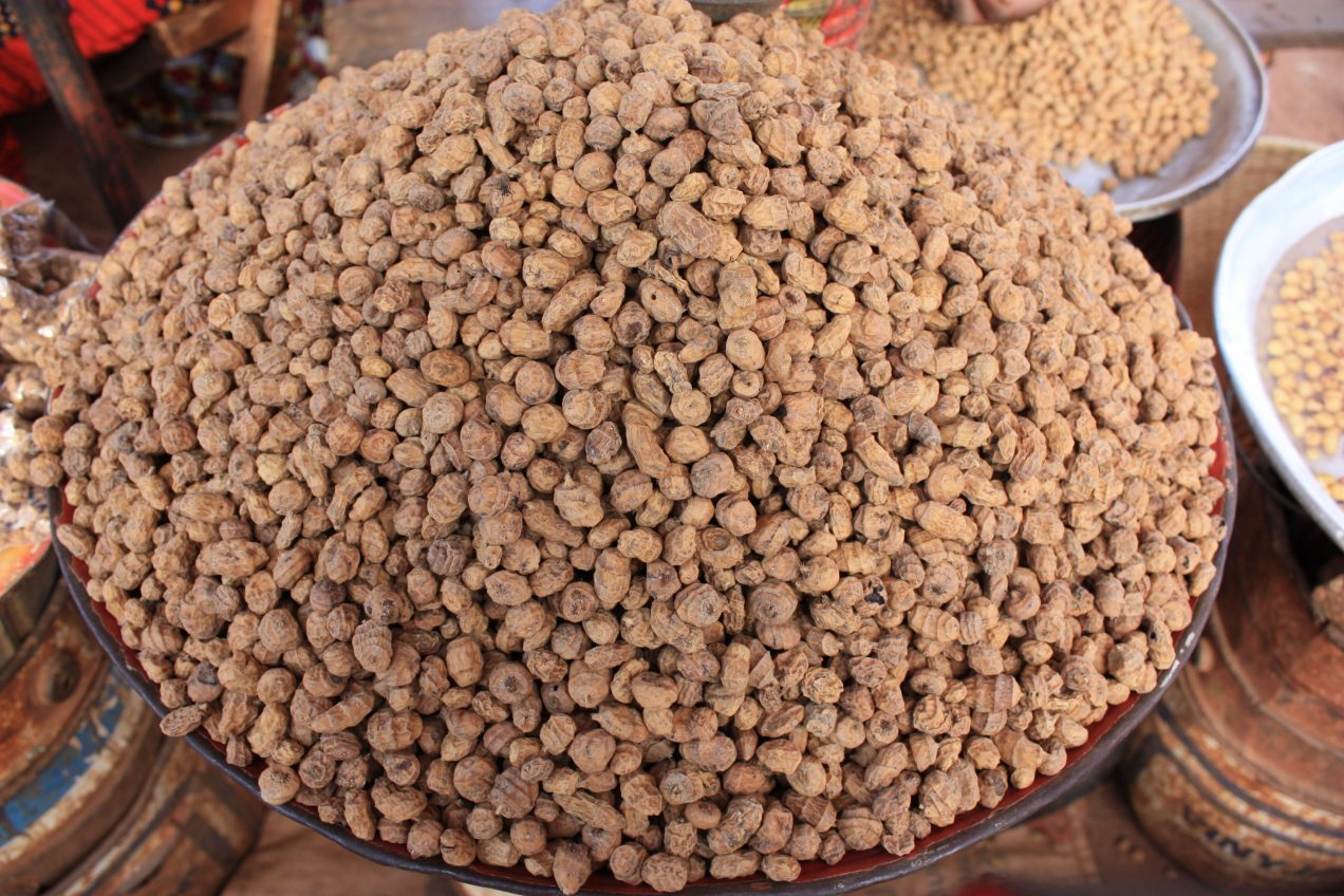 Tiger Nuts Farming in Nigeria