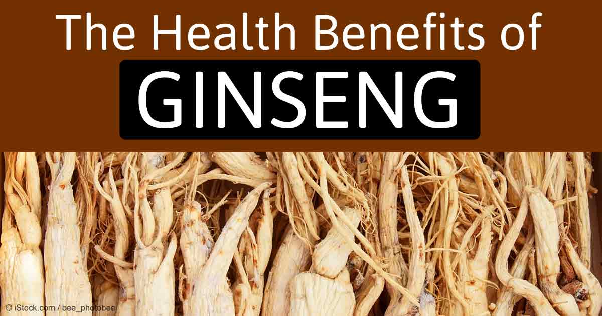 Top 10 Health Benefits Of Ginseng And Medical Use Wealth